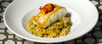 pan-seared halibut with barley artichoke risotto